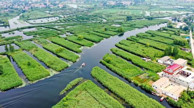 
北京宣武医院黄牛代挂号电话票贩子号贩子网上预约挂号,住院检查加快,镜头里的十年·奔向美好丨雄安，“未来之城”拔节生长