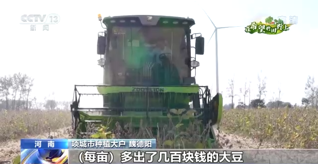 
北京大学第六医院黄牛代挂号电话票贩子号贩子网上预约挂号,住院检查加快,在希望的田野上丨金秋十月 各地迎来大豆丰收