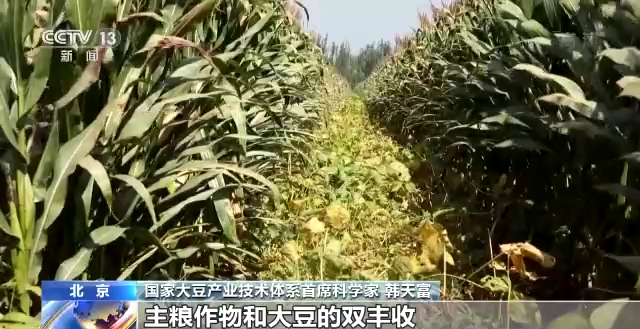 
北京大学第六医院黄牛代挂号电话票贩子号贩子网上预约挂号,住院检查加快,在希望的田野上丨金秋十月 各地迎来大豆丰收