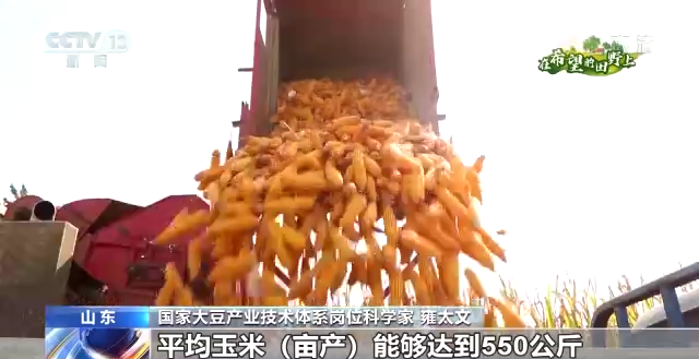 
北京大学第六医院黄牛代挂号电话票贩子号贩子网上预约挂号,住院检查加快,在希望的田野上丨金秋十月 各地迎来大豆丰收