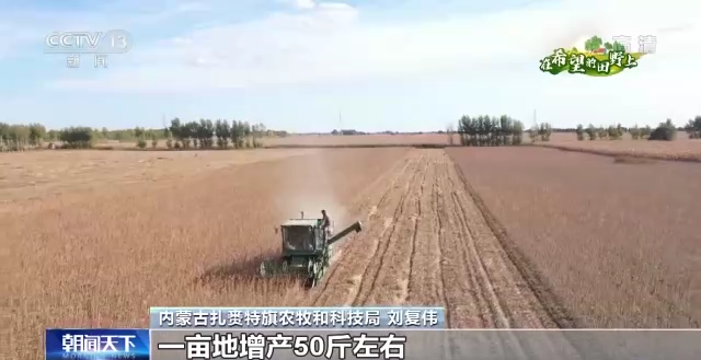 
北京大学第六医院黄牛代挂号电话票贩子号贩子网上预约挂号,住院检查加快,在希望的田野上丨金秋十月 各地迎来大豆丰收