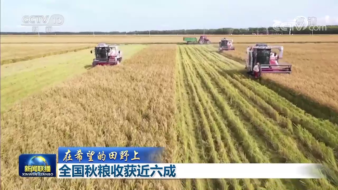 中山大学肿瘤医院黄牛代挂号电话票贩子号贩子网上预约挂号,住院检查加快,【在希望的田野上】全国秋粮收获近六成