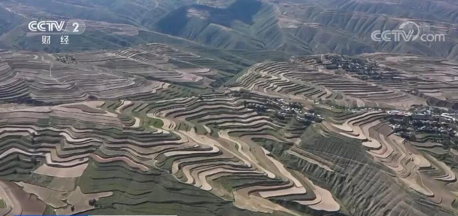 
广州各大医院黄牛代挂号电话票贩子号贩子网上预约挂号,住院检查加快,在希望的田野上 | 数万亩百合集中采挖 开发产业链助农增收