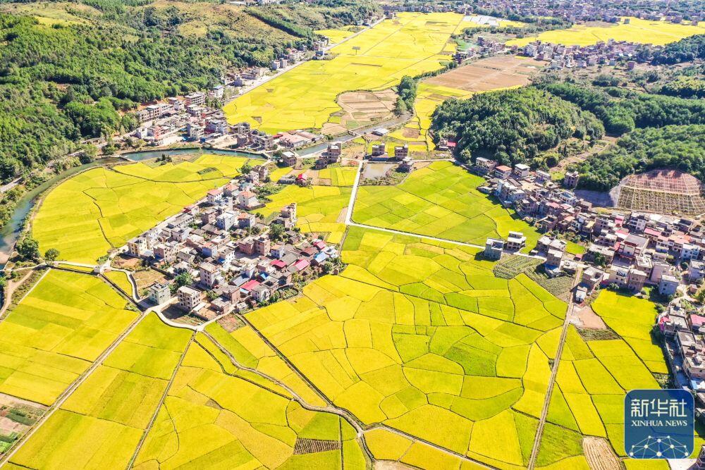 
上海肿瘤医院黄牛代挂号电话票贩子号贩子网上预约挂号,住院检查加快,我们的田野——最美秋色是丰收