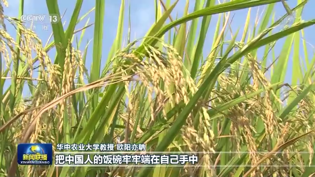 
北大第一医院黄牛代挂号电话票贩子号贩子网上预约挂号,住院检查加快,喜迎二十大丨奋进新征程 团结奋斗迎盛会
