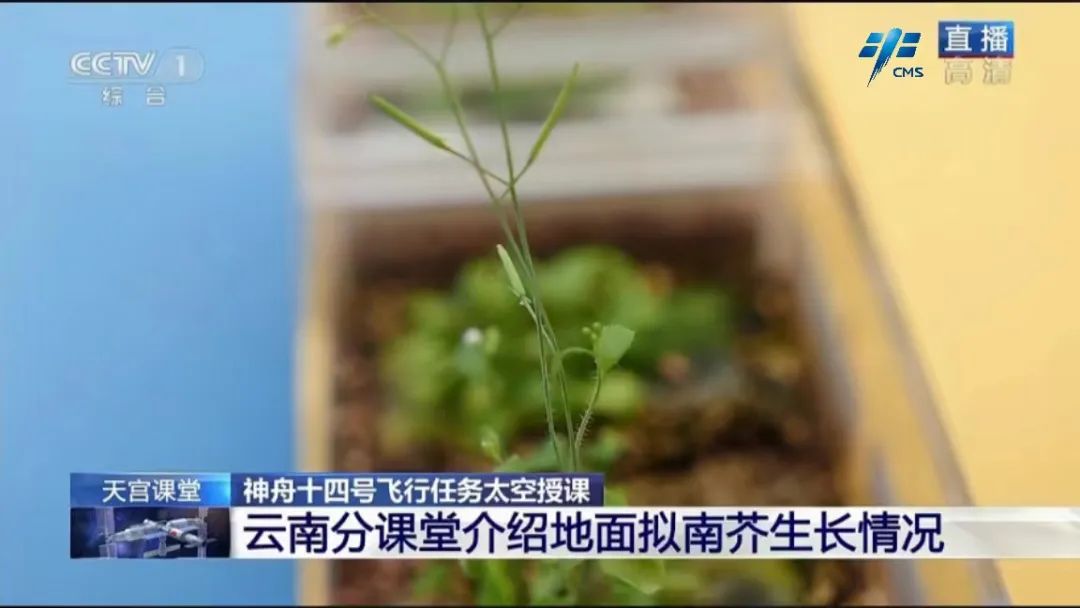 
中国人民解放军总医院黄牛代挂号电话票贩子号贩子网上预约挂号,住院检查加快,中国空间站第三次太空授课活动取得圆满成功
