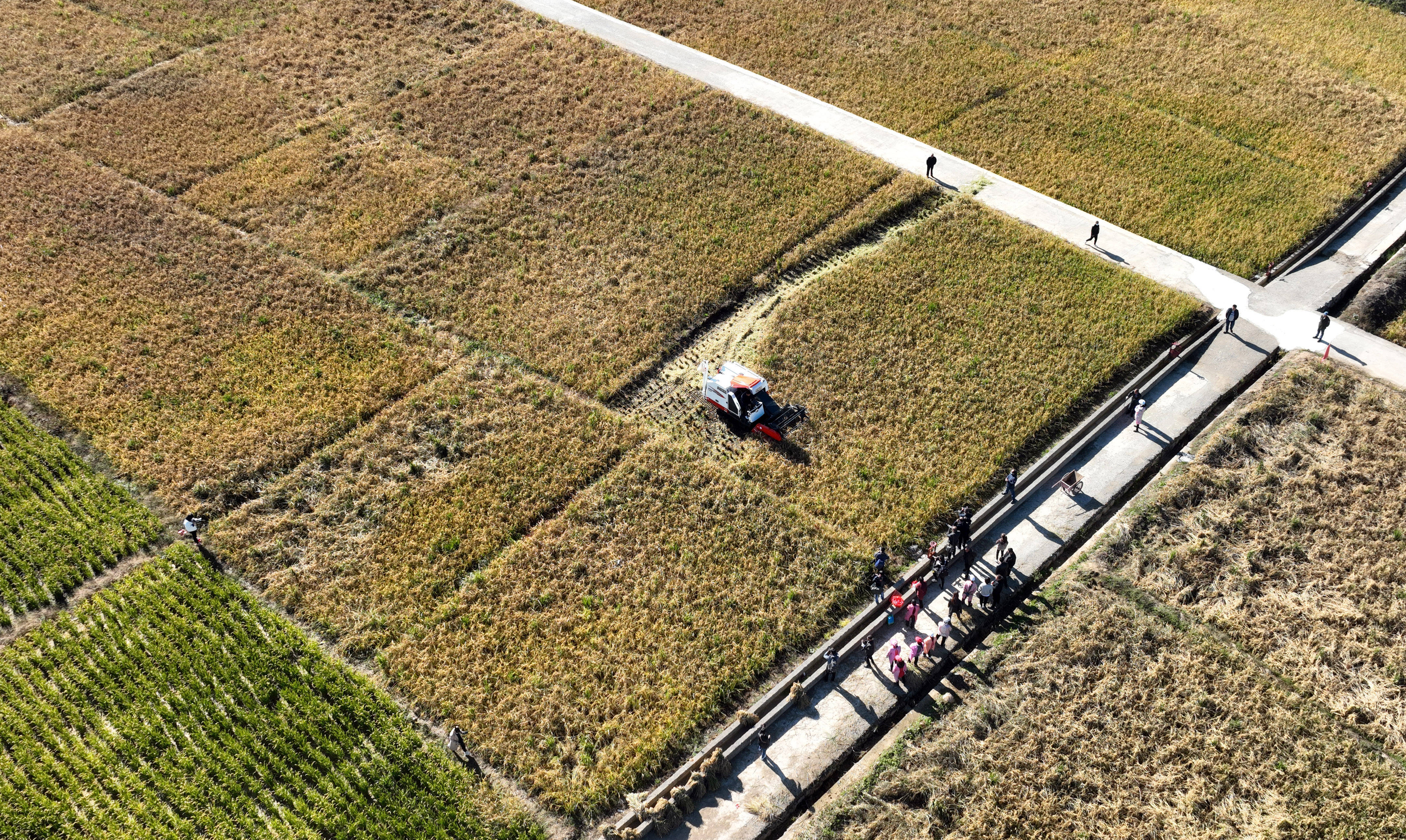 
北医六院黄牛代挂号电话票贩子号贩子网上预约挂号,住院检查加快,苏陕协作结硕果 优良水稻获丰收