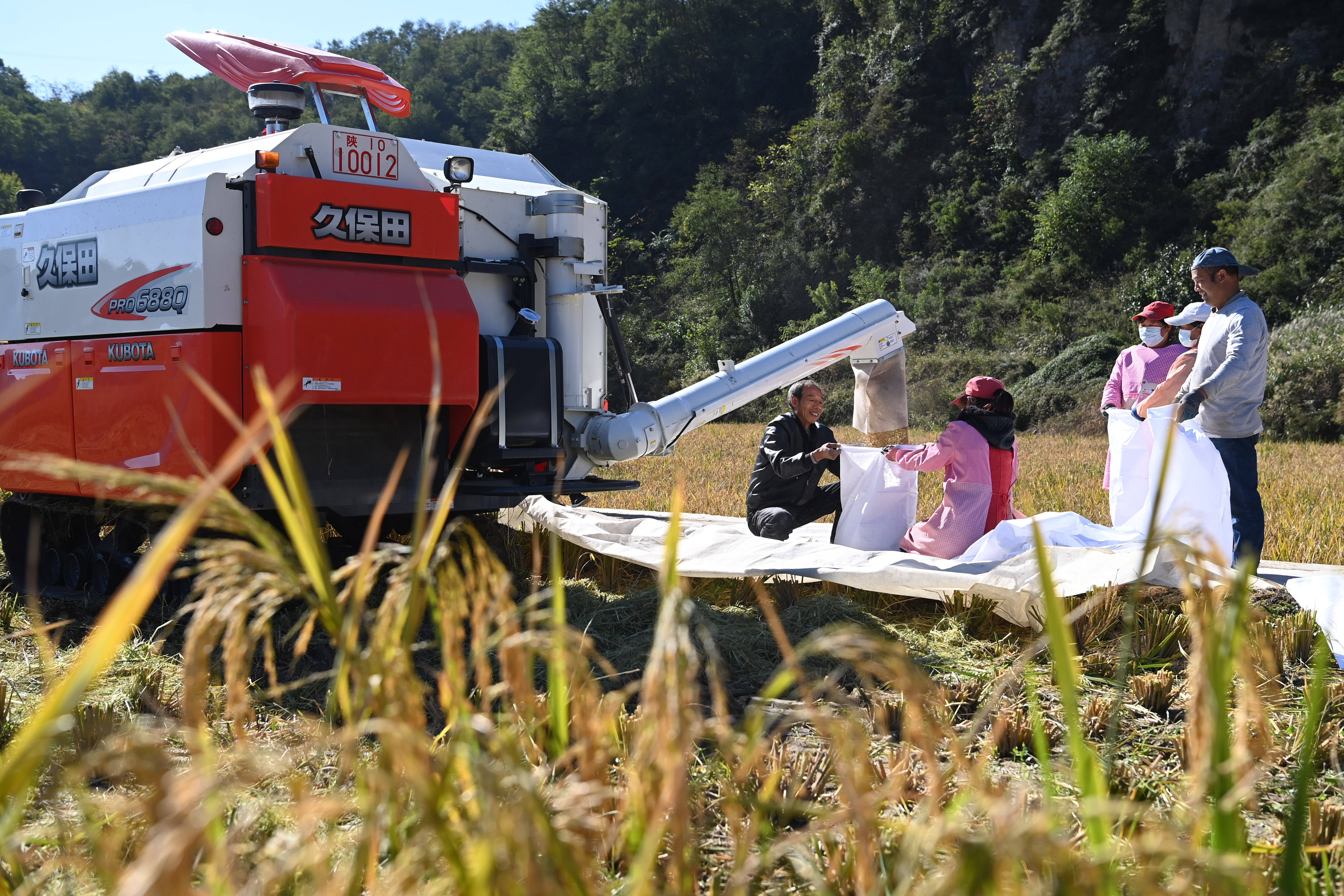 
北医六院黄牛代挂号电话票贩子号贩子网上预约挂号,住院检查加快,苏陕协作结硕果 优良水稻获丰收