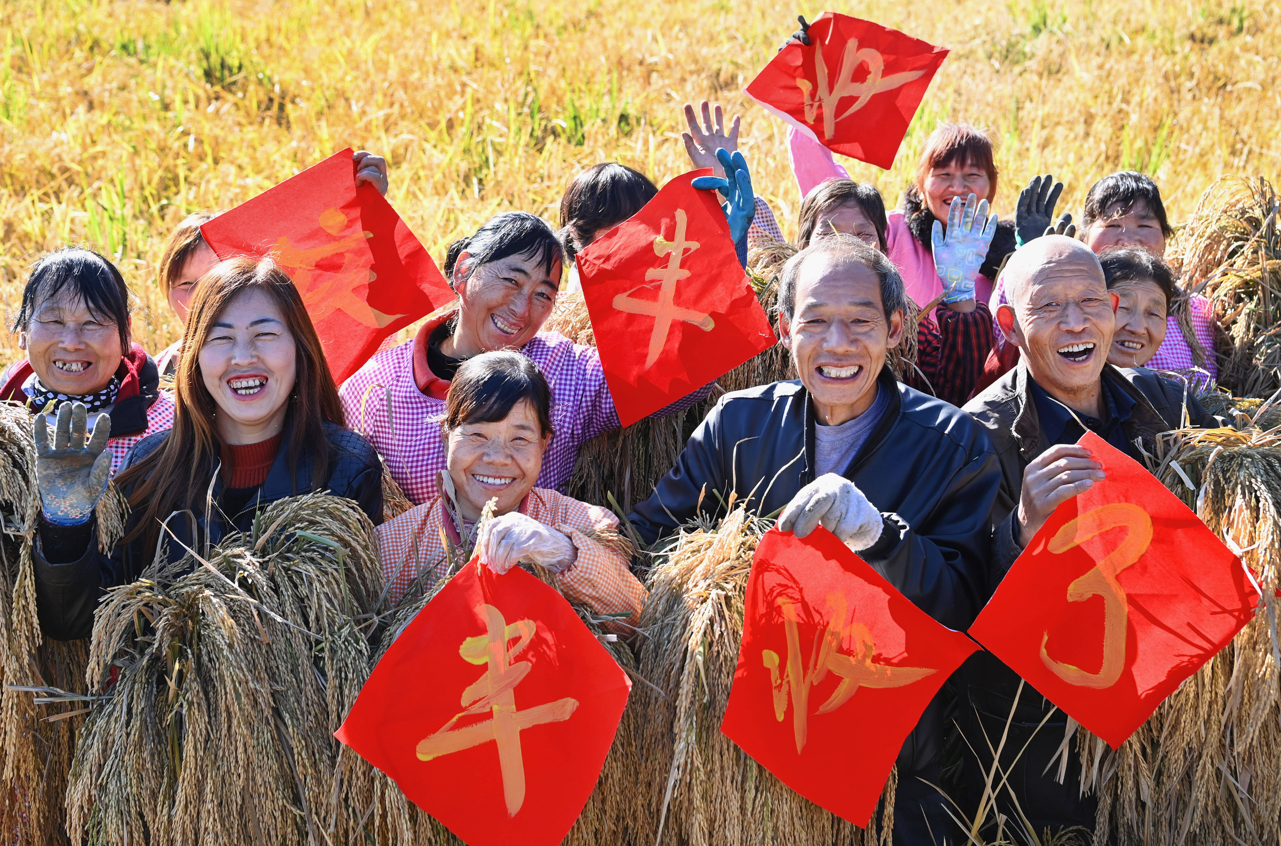 
北医六院黄牛代挂号电话票贩子号贩子网上预约挂号,住院检查加快,苏陕协作结硕果 优良水稻获丰收