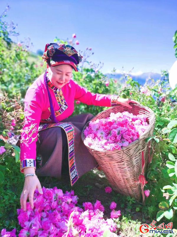 
浙江省人民医院黄牛代挂号电话票贩子号贩子网上预约挂号,住院检查加快,有声手账丨【我是一线党代表⑧】“玫瑰姐姐”陈望慧：让穷山坳开出“致富花”