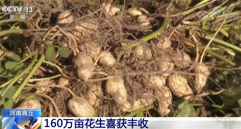 
北京大学第一医院黄牛代挂号电话票贩子号贩子网上预约挂号,住院检查加快,全国秋粮收获已超六成 多种作物迎来集中收获期