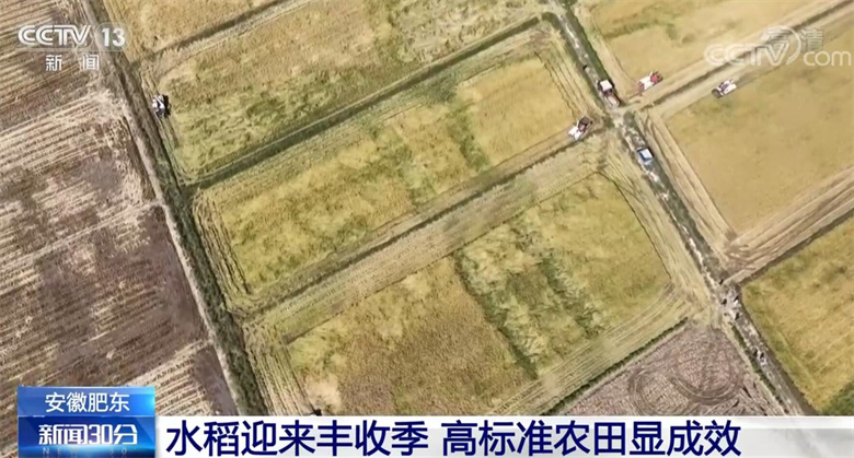 
北京大学第一医院黄牛代挂号电话票贩子号贩子网上预约挂号,住院检查加快,全国秋粮收获已超六成 多种作物迎来集中收获期