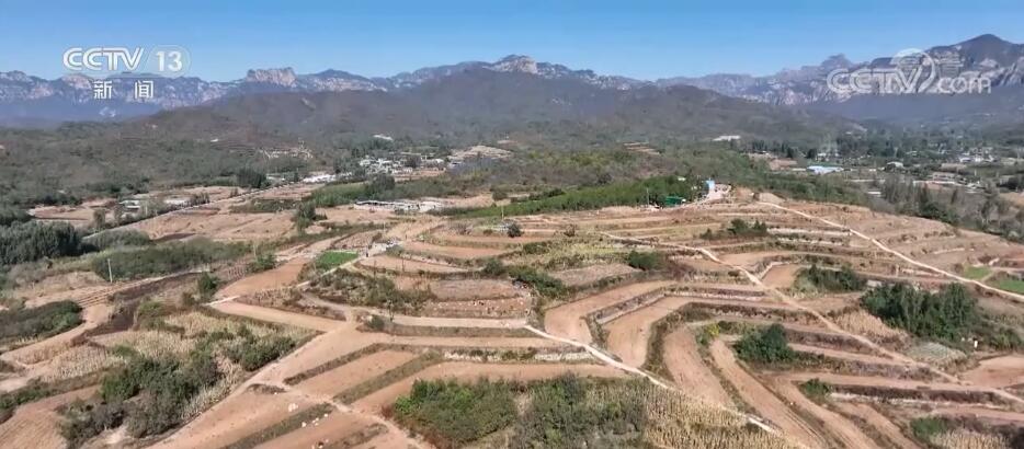 
北医六院黄牛代挂号电话票贩子号贩子网上预约挂号,住院检查加快,在希望的田野上 | 依托山地丘陵地貌 梯田式种植红薯获丰收