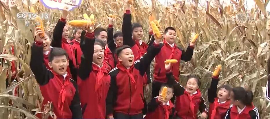 
北京鼓楼医院孙凌云黄牛代挂号电话票贩子号贩子网上预约挂号,住院检查加快,少先队建队纪念日 | “争做新时代好队员” 各地开展形式多样主题实践活动