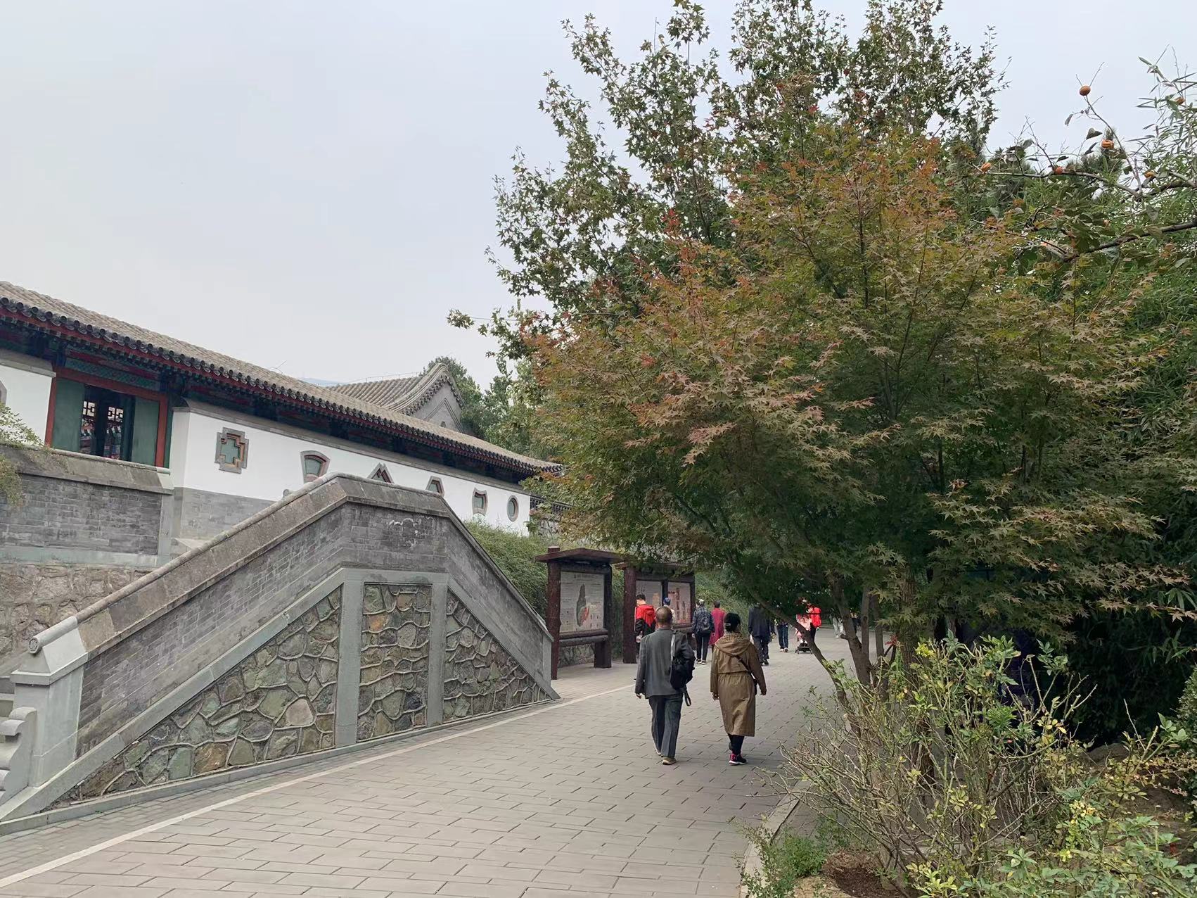 
北京阜外医院黄牛代挂号电话票贩子号贩子网上预约挂号,住院检查加快,下周末西山红叶进入最佳观赏期！十月底可看层林尽染