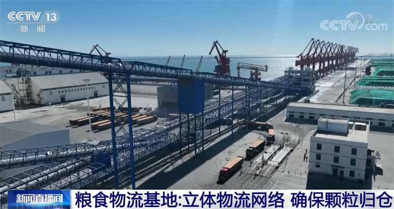 
上海第十人民医院黄牛代挂号电话票贩子号贩子网上预约挂号,住院检查加快,探访粮食物流基地：立体物流网络 确保颗粒归仓