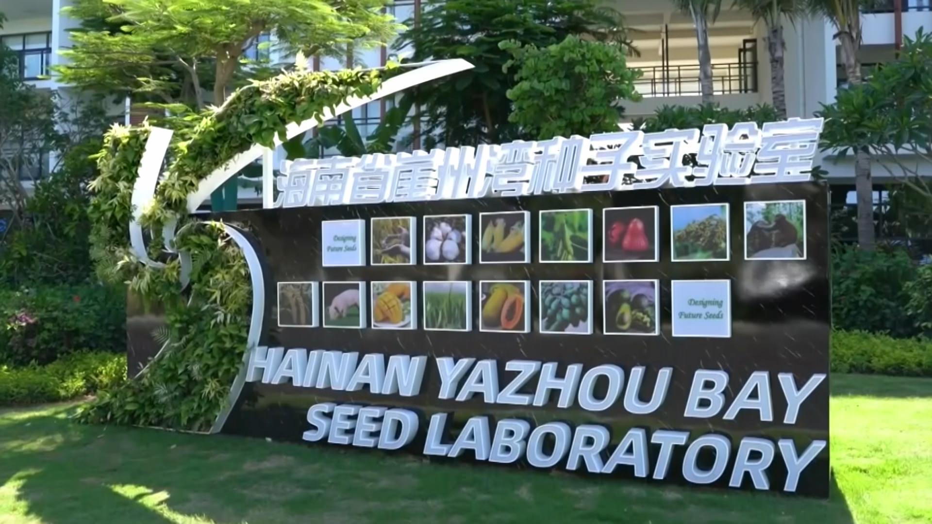 
北医六院黄牛代挂号电话票贩子号贩子网上预约挂号,住院检查加快,思想的力量｜粮安天下