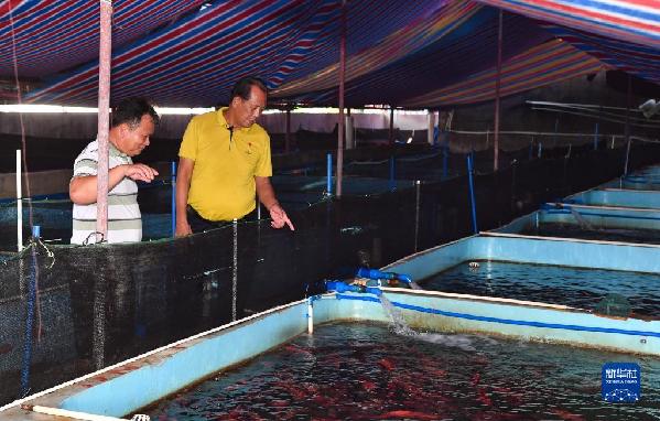 
北京西苑医院黄牛代挂号电话票贩子号贩子网上预约挂号,住院检查加快,有声手账丨【我是一线党代表⑪】王书茂：保护好“祖宗海”是这辈子最大的心愿