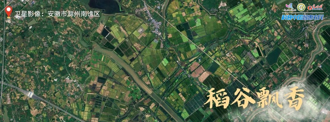 北京安贞医院黄牛代挂号电话票贩子号贩子网上预约挂号,住院检查加快,丰收进行时|全国秋收迎高峰,卫星视角瞰收成