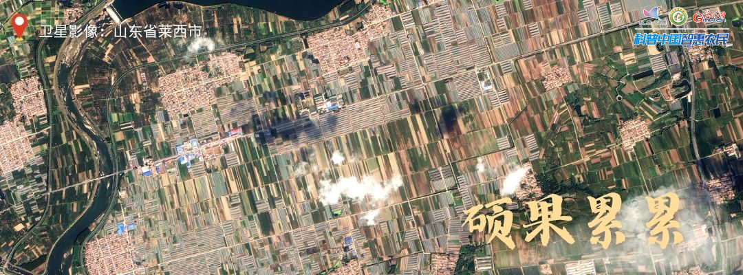 北京安贞医院黄牛代挂号电话票贩子号贩子网上预约挂号,住院检查加快,丰收进行时|全国秋收迎高峰,卫星视角瞰收成