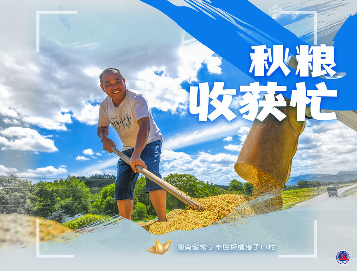
东直门医院黄牛代挂号电话票贩子号贩子网上预约挂号,住院检查加快,新华全媒+｜听，秋收乐章