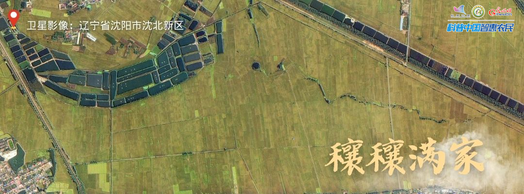 北京安贞医院黄牛代挂号电话票贩子号贩子网上预约挂号,住院检查加快,丰收进行时|全国秋收迎高峰,卫星视角瞰收成