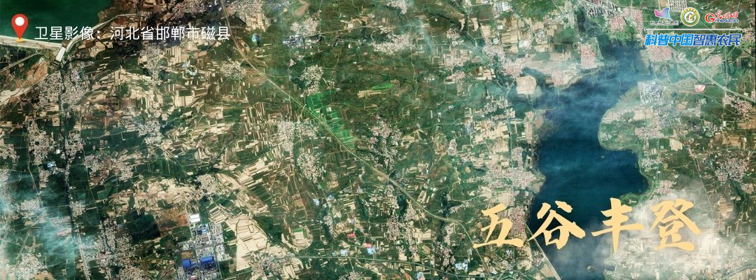 北京安贞医院黄牛代挂号电话票贩子号贩子网上预约挂号,住院检查加快,丰收进行时|全国秋收迎高峰,卫星视角瞰收成