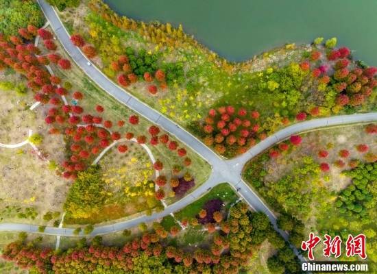 
东直门医院黄牛代挂号电话票贩子号贩子网上预约挂号,住院检查加快,金秋美如画 打卡各地看绚丽秋景