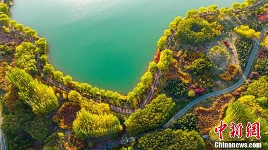 
东直门医院黄牛代挂号电话票贩子号贩子网上预约挂号,住院检查加快,金秋美如画 打卡各地看绚丽秋景