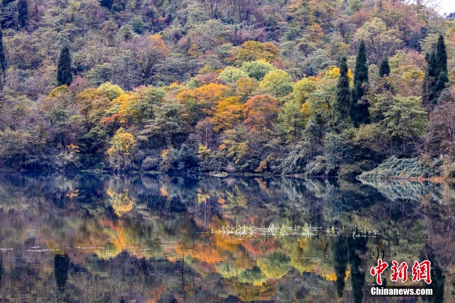 
东直门医院黄牛代挂号电话票贩子号贩子网上预约挂号,住院检查加快,金秋美如画 打卡各地看绚丽秋景