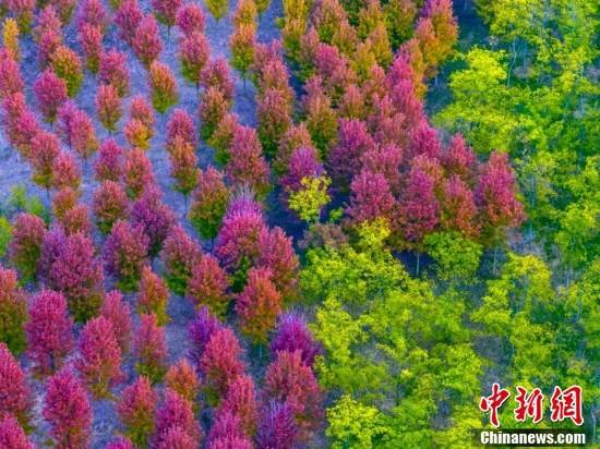 
东直门医院黄牛代挂号电话票贩子号贩子网上预约挂号,住院检查加快,金秋美如画 打卡各地看绚丽秋景