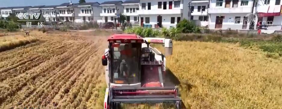 
北京301医院黄牛代挂号电话票贩子号贩子网上预约挂号,住院检查加快,江西收割中稻1300多万亩 各地推进农机作业确保颗粒归仓