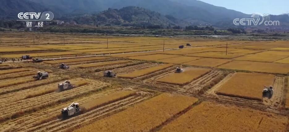 
南京军区总医院黄牛代挂号电话票贩子号贩子网上预约挂号,住院检查加快,“稻油轮作”补短板 科技助力农户增收