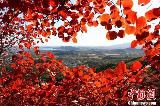 
东直门医院黄牛代挂号电话票贩子号贩子网上预约挂号,住院检查加快,金秋美如画 打卡各地看绚丽秋景