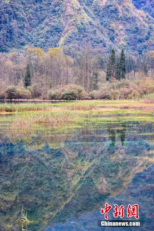
东直门医院黄牛代挂号电话票贩子号贩子网上预约挂号,住院检查加快,金秋美如画 打卡各地看绚丽秋景