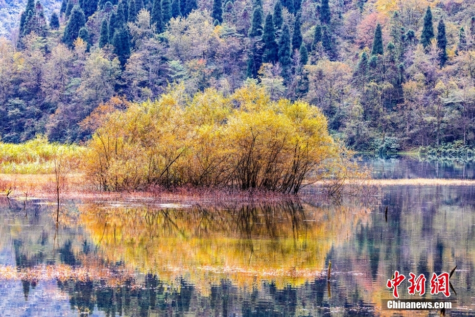 
东直门医院黄牛代挂号电话票贩子号贩子网上预约挂号,住院检查加快,金秋美如画 打卡各地看绚丽秋景