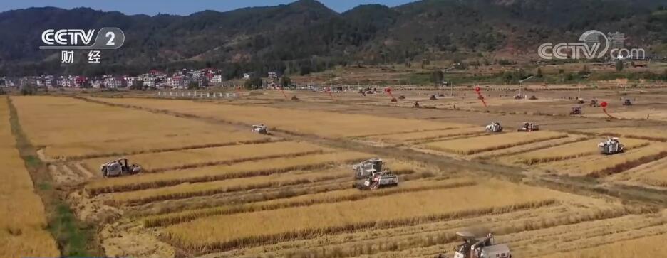 
南京军区总医院黄牛代挂号电话票贩子号贩子网上预约挂号,住院检查加快,“稻油轮作”补短板 科技助力农户增收