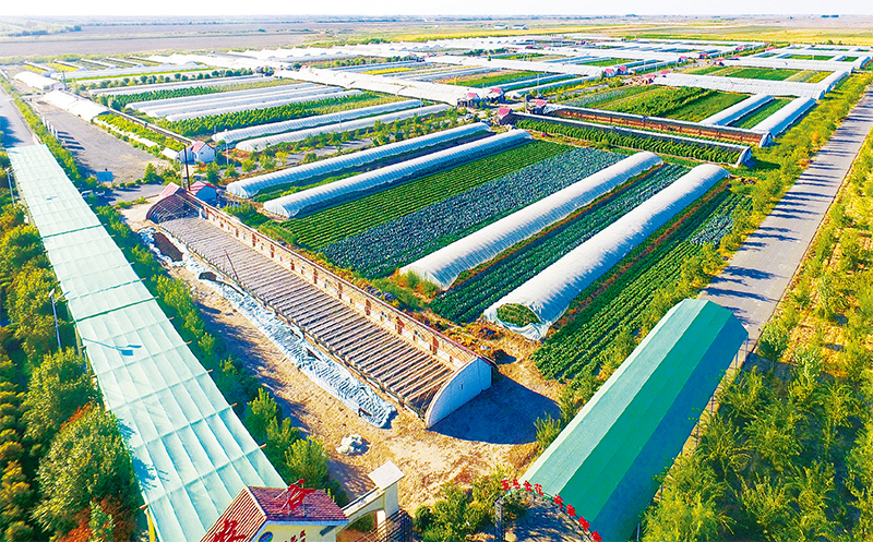 
中国中医科学院广安门医院黄牛代挂号电话票贩子号贩子网上预约挂号,住院检查加快,共青团农场丰收了