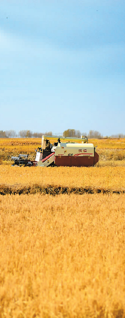 
江苏省中医院黄牛代挂号电话票贩子号贩子网上预约挂号,住院检查加快,中国力度 催人奋进