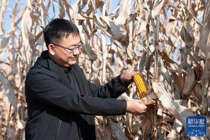 
天津血液研究所黄牛代挂号电话票贩子号贩子网上预约挂号,住院检查加快,这十年的喜人变化看得见摸得着——来自基层蹲点现场的报道