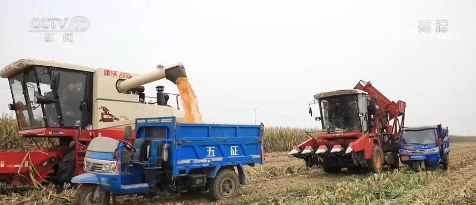 
北医三院黄牛代挂号电话票贩子号贩子网上预约挂号,住院检查加快,遍地金黄映秋色 陕西阎良13万亩玉米迎丰收