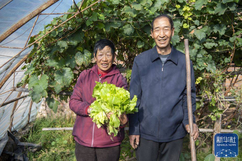 
天津血液研究所黄牛代挂号电话票贩子号贩子网上预约挂号,住院检查加快,这十年的喜人变化看得见摸得着——来自基层蹲点现场的报道