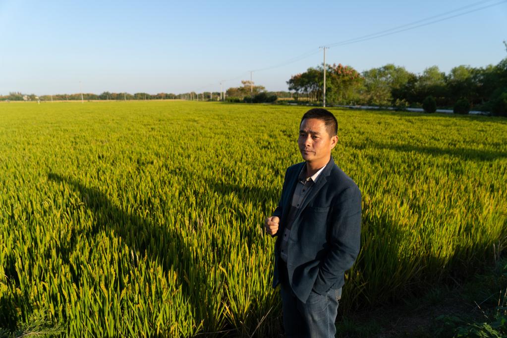 
浙江省肿瘤医院黄牛代挂号电话票贩子号贩子网上预约挂号,住院检查加快,新华全媒+丨长江畔秋收见闻：稻田里藏了多少“黑科技”