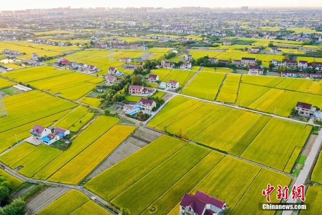 
沈阳各大医院黄牛代挂号电话票贩子号贩子网上预约挂号,住院检查加快,金秋收获好时节 打卡田园如画“丰”景