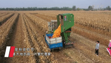 
中国中医科学院西苑黄牛代挂号电话票贩子号贩子网上预约挂号,住院检查加快,新华全媒+｜山东秋粮收获过九成
