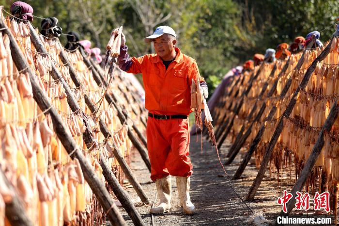 
北大医院黄牛代挂号电话票贩子号贩子网上预约挂号,住院检查加快,山东日照：鱼虾丰收“晒秋”忙