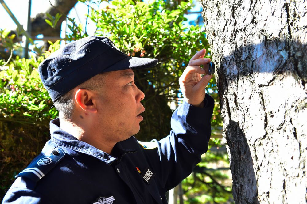 
南京各大医院黄牛代挂号电话票贩子号贩子网上预约挂号,住院检查加快,岗位建功担使命 接续奋斗向未来——来自基层蹲点现场的报道