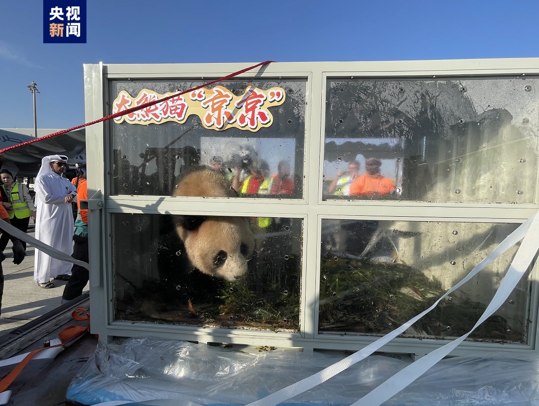 
浙江中医药第二医院黄牛代挂号电话票贩子号贩子网上预约挂号,住院检查加快,中东首对！两只中国大熊猫抵达卡塔尔首都多哈