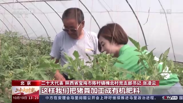 
重庆儿童医院黄牛代挂号电话票贩子号贩子网上预约挂号,住院检查加快,二十大时光丨返乡大学生“猪倌”张凌云的现代农业梦