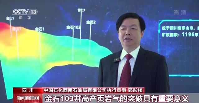 
上海第九人民医院黄牛代挂号电话票贩子号贩子网上预约挂号,住院检查加快,3878亿立方米！四川盆地页岩气勘探获得重大发现